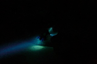 「無題」のサムネイル画像