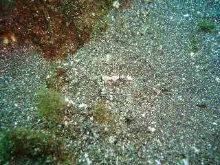 「無題」のサムネイル画像