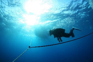 「無題」のサムネイル画像