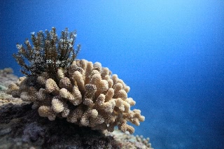 「無題」のサムネイル画像