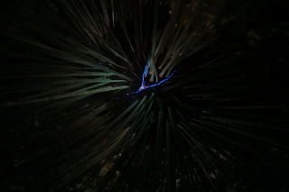 「無題」のサムネイル画像