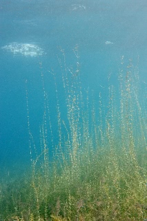 「無題」のサムネイル画像