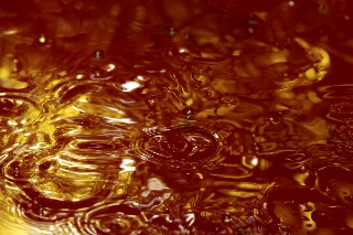 「無題」のサムネイル画像