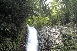 「浄蓮の滝」のサムネイル画像