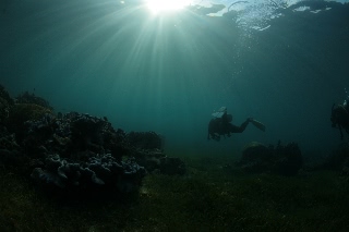 「無題」のサムネイル画像