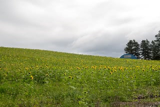 「無題」のサムネイル画像