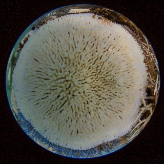 「無題」のサムネイル画像