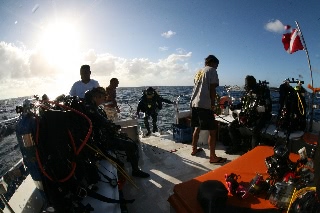 「無題」のサムネイル画像