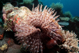 「無題」のサムネイル画像