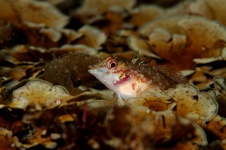 「無題」のサムネイル画像