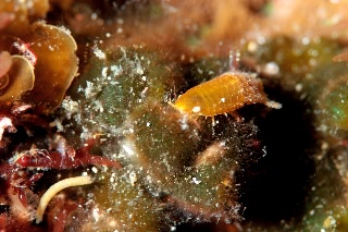 「無題」のサムネイル画像