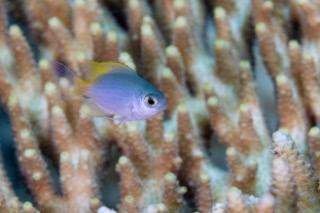 「無題」のサムネイル画像