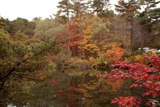 「弥六沼」のサムネイル画像