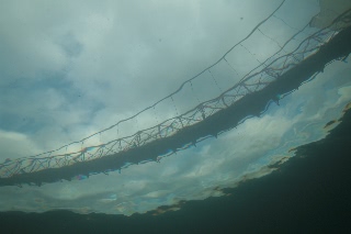 「無題」のサムネイル画像