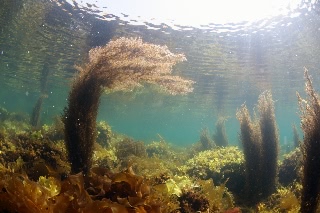 「無題」のサムネイル画像