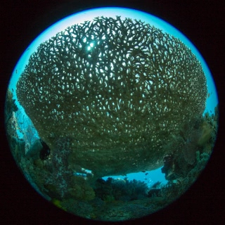 「無題」のサムネイル画像