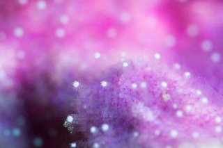 「無題」のサムネイル画像