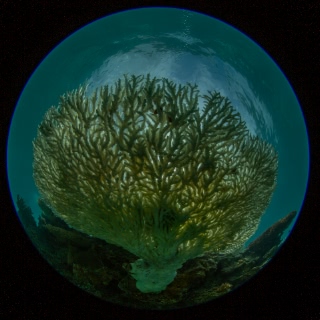 「無題」のサムネイル画像