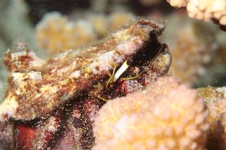 「無題」のサムネイル画像