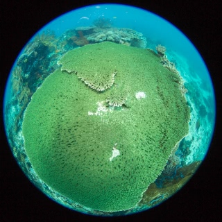 「無題」のサムネイル画像