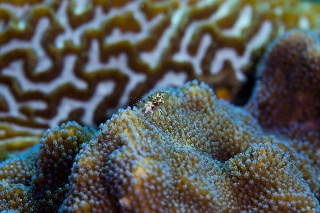 「無題」のサムネイル画像