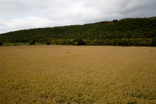 「無題」のサムネイル画像