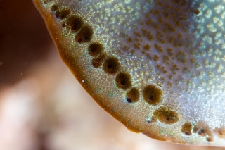 「無題」のサムネイル画像