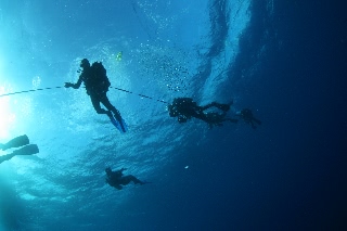 「リフトバックを用いた減圧停止を行う TERM 「Dive Sprit」の面々」のサムネイル画像