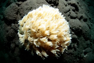 「無題」のサムネイル画像