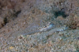 「無題」のサムネイル画像