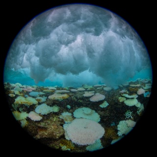 「無題」のサムネイル画像