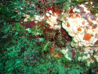 「無題」のサムネイル画像