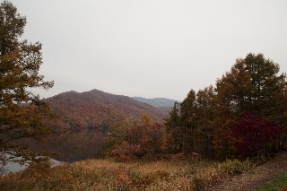 「無題」のサムネイル画像