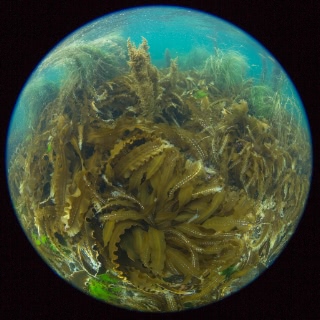 「無題」のサムネイル画像