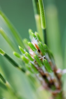 「無題」のサムネイル画像