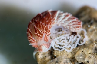 「無題」のサムネイル画像