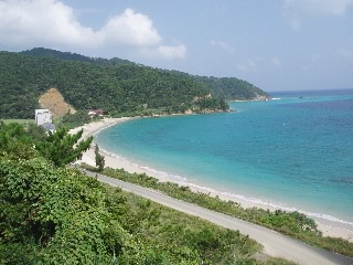 「ホテルの非常階段(?)から」のサムネイル画像