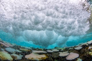 「無題」のサムネイル画像