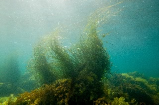 「無題」のサムネイル画像