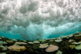 「無題」のサムネイル画像
