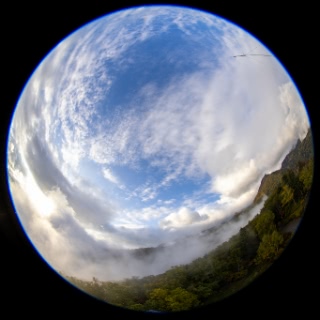 「無題」のサムネイル画像