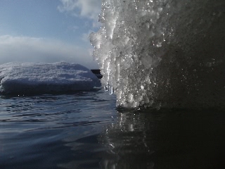 「無題」のサムネイル画像