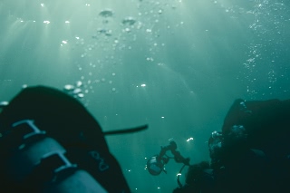 「無題」のサムネイル画像