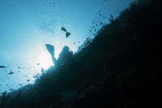 「無題」のサムネイル画像