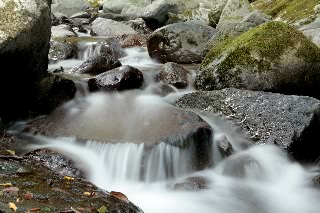 「無題」のサムネイル画像