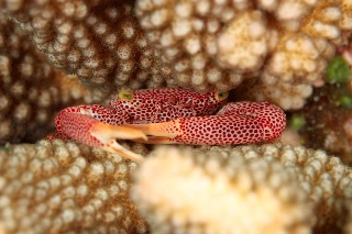 「無題」のサムネイル画像