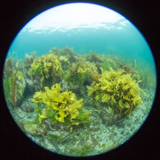 「無題」のサムネイル画像