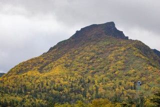 「無題」のサムネイル画像