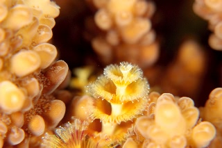 「無題」のサムネイル画像