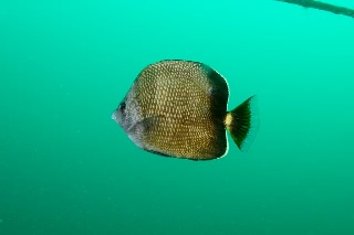 「無題」のサムネイル画像